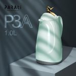 P3-1